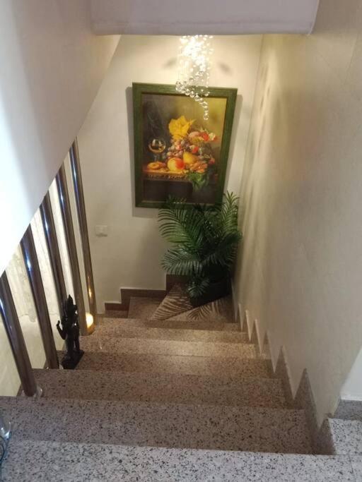 A Luxury Abode In The Heart Of South Delhi! Apartment New Delhi